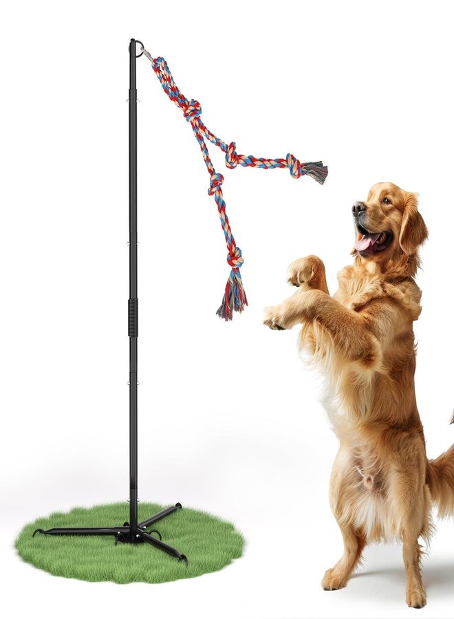 Olpchee Outdoor Tug of War Dog Toy, Tether Interactive Dog Tug Toy Backyard Heavy-Duty Dog Solo Play Exercise Toy for Large Medium Dogs - Image 1